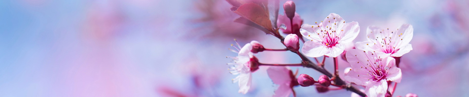 Slider visuel 7